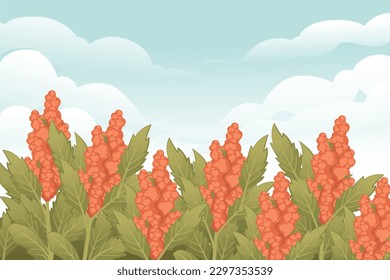 Paisaje rural con quinua floración de cultivos de cereal de campo vectorial ilustración