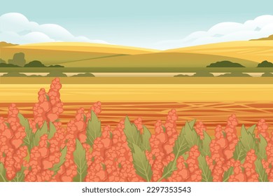 Paisaje rural con quinua floración de cultivos de cereal de campo vectorial ilustración