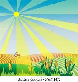 Rural landscape with red tractor. Sunlight