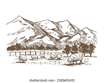 Rural landscape with sheep on field and mountain. Hand drawn vector illustration  