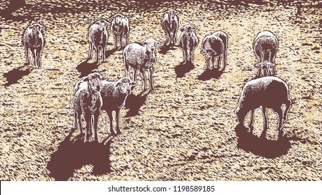 Rural Landscape With Sheeps. Hand Drawn Vector Illustration. Engraving Style. aspect ratio 16:9