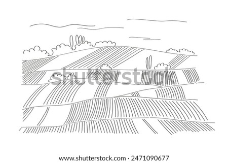 Rural landscape sketch panoramic format with harvest fields. Hand drawn vector Illustration in minimal line art style. Green grass field, vineyard on small hills. Abstract Meadow, countryside pastures