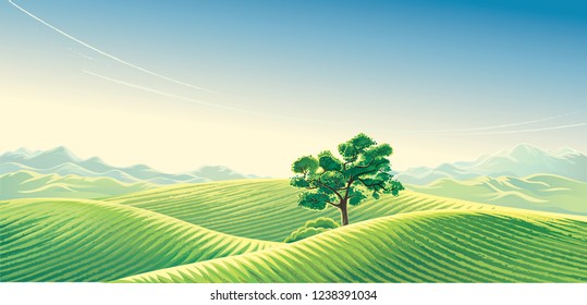 Rural landscape with snow fields and a lonely tree and the mountains in the background in the distance.