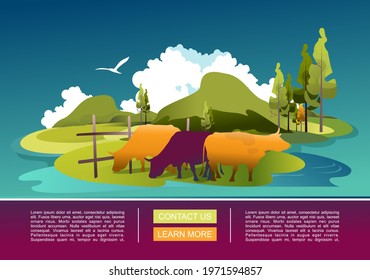 rural landscape summer ecologically clean pastures