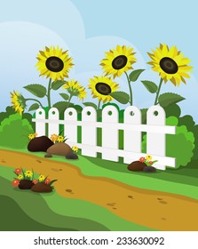 Rural landscape with sunflowers and white fence