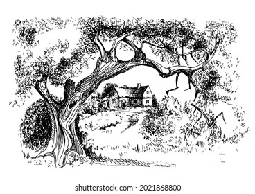 Rural landscape, tree and farm. Vector sketch illustration