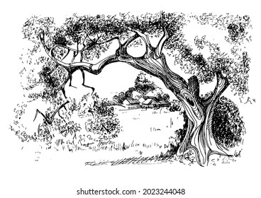 Rural landscape, tree and farm. Vector sketch illustration