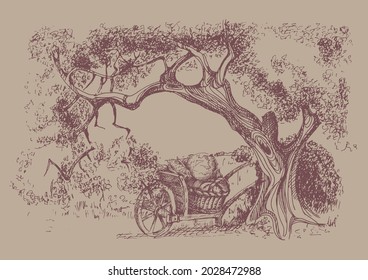 Rural landscape, tree and farm. Vector sketch illustration