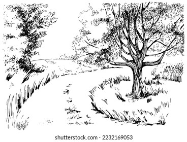 Rural landscape, tree and farm. Vector hand drawn vintage engraved sketch.