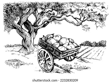 Rural landscape, tree and farm. Vector hand drawn vintage engraved sketch.
