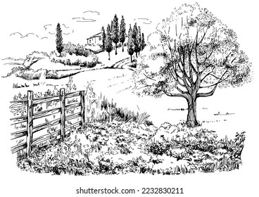 Rural landscape, tree and farm. Vector hand drawn vintage engraved sketch.
