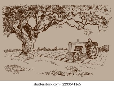 Rural landscape, tree and farm. Vector hand drawn vintage engraved sketch.
