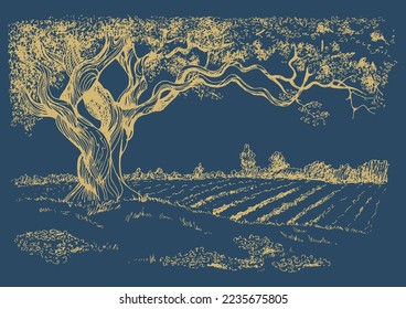 Rural landscape, tree and farm. Vector hand drawn vintage engraved sketch.
