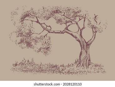 Paisaje rural, árbol. Campo de hierba verde en pequeñas colinas. Ilustración de esbozo de vector