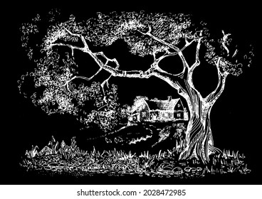 Rural landscape, tree. Green grass field on small hills. Vector sketch illustration