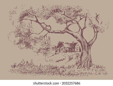 Rural landscape, tree. Green grass field on small hills. Vector sketch illustration