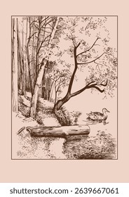 Rural landscape, trees and stream. Hand sketch converted to vector.