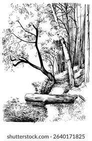 Rural landscape, trees and stream. Hand sketch converted to vector.