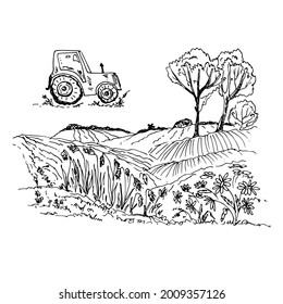 Rural landscape. Vector illustration. Sketch.