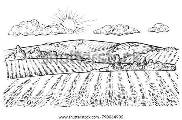 Rural landscape, vector vintage hand drawn
illustration in engraving style. Peaceful farming scene with hills,
meadows and pasturage.