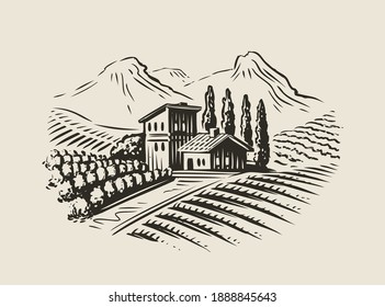 Rural landscape with villa, vineyard fields. Sketch vector illustration for label