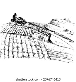 Rural landscape with villa and vineyard fields. Vintage black hatching illustration. Isolated on white background. Hand drawn design element for label and poster
