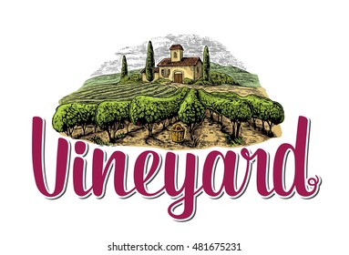 Rural landscape with villa, vineyard fields and hills. Colorful white drawn vintage vector illustration for label, poster.