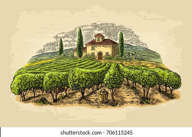 Rural landscape with villa, vineyard fields and hills. Vector color vintage engraving on old paper beige texture background. Hand draw design illustration for label or poster.