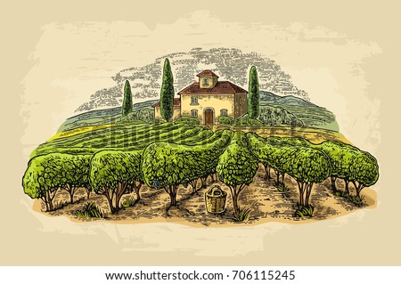 Rural landscape with villa, vineyard fields and hills. Vector color vintage engraving on old paper beige texture background. Hand draw design illustration for label or poster.