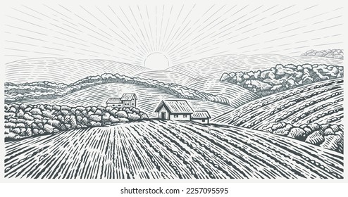 Rural landscape with the village house and  agricultural fields,  with hills drawing in graphic style. Vector Illustration.