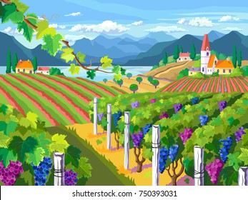 Rural landscape with vineyard, fields, mountain and sea panorama.