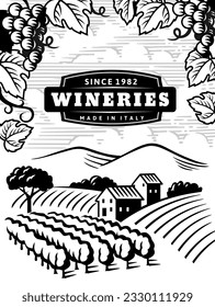 Rural landscape with vineyard. Vine plantation hills