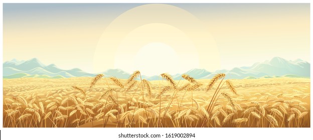 Rural landscape with wheat field with mountains and sunrise on background.