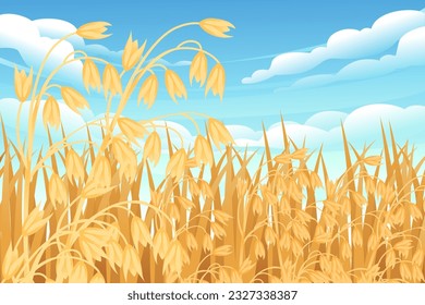 Rural landscape with wheat fields and with blue clear sky on background vector illustration
