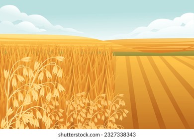 Paisaje rural con campos de trigo y colinas verdes con cielo azul claro en ilustración vectorial de fondo