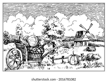 Rural landscape with windmill.  Bakery shop, organic agricultural production, ecological food. Vector hand drawn vintage engraved sketch.