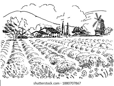 Rural landscape with windmill and lavender  field.  Vector hand drawn vintage engraved sketch.