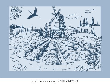 Rural landscape with windmill and lavender  field.  Vector hand drawn vintage engraved sketch.
