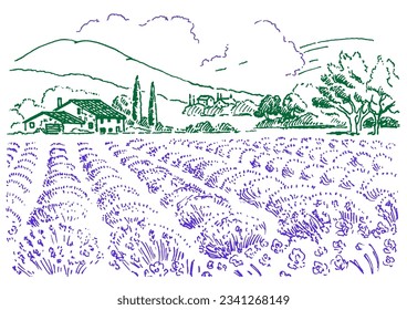 Paisajes rurales. Prado, lavanda, granja. Panorama paisajístico de los paisajes rurales de los pastos. Dibujo de vectores