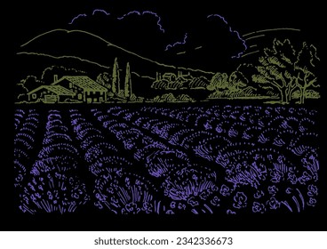 Rural landscapes. Meadow, lavender, farm. Landscape panorama of rural scenery pasture countryside. Vector drawing