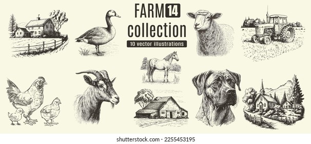 Rural meadow or countryside farm set. A village landscape with cows, goats, and lamb, hills, and a farm.