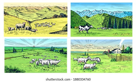 Rural meadow set. A village landscape with sheep, hills and a farm. Sunny scenic country view. Hand drawn engraved sketch. Vintage rustic banner for wooden sign or badge or label.