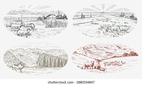 Rural meadow set. A village landscape with sheep, hills and a farm. Sunny scenic country view. Hand drawn engraved sketch. Vintage rustic banner for wooden sign or badge or label.