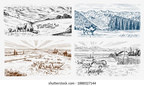 Rural meadow set. A village landscape with sheep, hills and a farm. Sunny scenic country view. Hand drawn engraved sketch. Vintage rustic banner for wooden sign or badge or label.