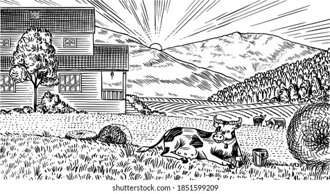 Rural meadow. A village landscape with cows, hills and a farm. Sunny scenic country view. Hand drawn engraved sketch. Vintage rustic banner for wooden sign or badge or label.