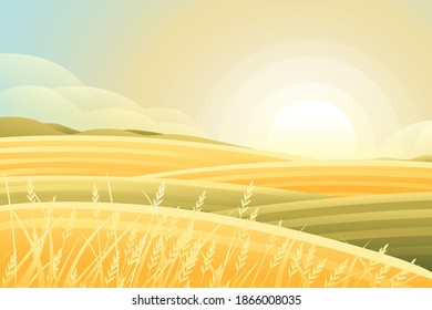 Rural morning landscape with hills and dales agricultural fields with grain flat vector illustration