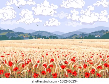 Rural scene with field of ripe wheat, red poppy flowers, hills, floating clouds and flying birds in sky. Calm summer countryside landscape vector illustration. Simple natural horizontal background.