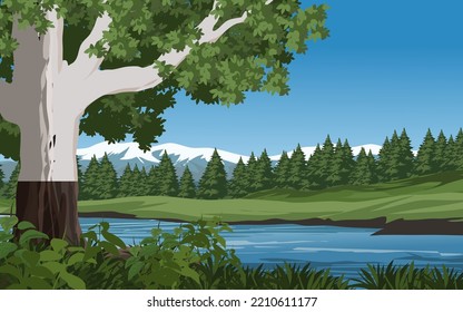 Rural scenery illustration with river and pine forest. Vector nature landscape