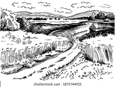 Rural scenery landscape panorama of countryside pastures. Green grass field on small hills.  Vector sketch illustration