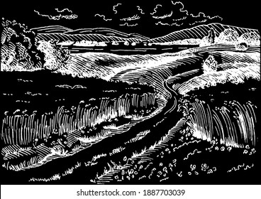 Rural scenery landscape panorama of countryside pastures. Green grass field on small hills. Vector sketch illustration